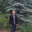  ,   Ars, 33 ,   ,   