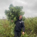 ���������� ������, ���� ������� Dmitrii, 26 ���, ������������ ��� ������, ����� � ���������