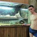  ,   Shubik, 36 ,   