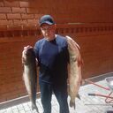 ���������� ��������, ���� ������� ���������, 49 ���, ������������ ��� ������, ����� � ���������