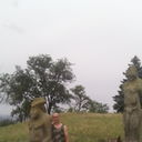 ���������� �������, ���� ������� �����, 52 ����, ������������ ��� ������, ����� � ���������, c�������� ���������