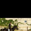 ���������� ������ ���, ���� ������� ���������, 49 ���, ������������ ��� ����� � ���������, c�������� ���������