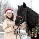 ���������� ������ ��������, ���� ������� ����������, 50 ���, ������������ ��� ����� � ���������, c�������� ���������, ���������