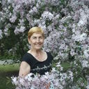  ,   , 56 ,     