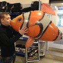 ���������� �������, ���� ������� ����, 35 ���, ������������ ��� ������, ����� � ���������, c�������� ���������