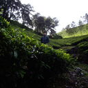  ,   , 54 ,   ,   , c 