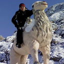 ���������� ��, ���� ������� ��������, 40 ���, ������������ ��� ������, ����� � ���������, c�������� ���������