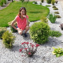  ,   , 50 ,   ,   , c 