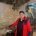 ���������� �����, ���� ������� ������, 46 ���, ������������ ��� ������, ����� � ���������, c�������� ���������