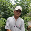  ,   , 62 ,   ,   , c , 