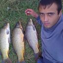 ���������� ���������, ���� ������� ��������, 37 ���, ������������ ��� c�������� ���������