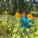  ,   , 68 ,     , c , 