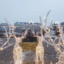 ���������� �����������, ���� ������� ���������, 27 ���, ������������ ��� ������, ����� � ���������, c�������� ���������, ���������