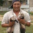 ���������� ����������, ���� ������� ����, 41 ���, ������������ ��� ������, ����� � ���������