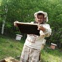 ���������� ����������, ���� ������� �����, 42 ����, ������������ ��� ������, ����� � ���������, c�������� ���������