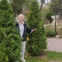 ���������� �����������, ���� ������� �������, 65 ���, ������������ ��� c�������� ���������, ���������