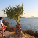 ���������� ���������, ���� ������� Reco, 48 ���, ������������ ��� ������, ����� � ���������, c�������� ���������