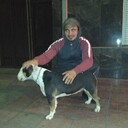  ,   , 33 ,   ,   , c , 