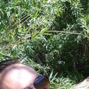  -,   , 35 ,   ,   , c 
