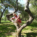  ,   , 63 ,   ,   , c 