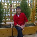  ,   Alim, 56 ,   ,   , c 