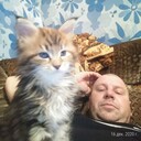 ���������� �����������, ���� ������� ���������, 44 ����, ������������ ��� ����� � ���������, c�������� ���������, ���������