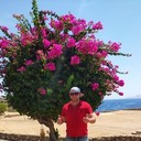 ���������� ����, ���� ������� ��������, 42 ����, ������������ ��� ����� � ���������, c�������� ���������