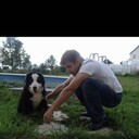 ���������� ������, ���� ������� ����������, 37 ���, ������������ ��� c�������� ���������