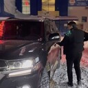 ���������� ���, ���� ������� ����, 26 ���, ������������ ��� ������, ����� � ���������