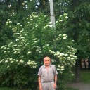  ,   , 61 ,     , c 