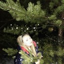 ���������� ������, ���� ������� ����, 48 ���, ������������ ��� ������, ����� � ���������, c�������� ���������