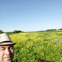  ,   , 53 ,     , c 