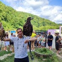 ���������� ����, ���� ������� ������, 42 ����, ������������ ��� ������, ����� � ���������, c�������� ���������