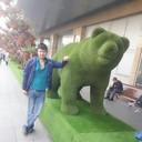 ���������� ������, ���� ������� ���, 34 ����, ������������ ��� ������, ����� � ���������, c�������� ���������