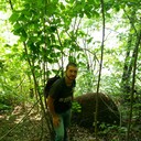 ���������� ������, ���� ������� ����, 37 ���, ������������ ��� ����� � ���������, c�������� ���������