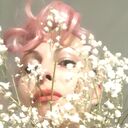 ���������� �����������, ���� ������� ���������, 43 ����, ������������ ��� ������, ����� � ���������, c�������� ���������