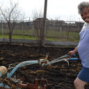 ���������� ������, ���� ������� C�����, 55 ���, ������������ ��� ������, ����� � ���������, c�������� ���������