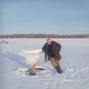 ���������� ���������, ���� ������� �������, 43 ����, ������������ ��� ������, ����� � ���������