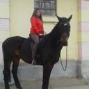 ���������� �������, ���� ������� ������, 36 ���, ������������ ��� ������