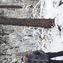 ���������� ������������, ���� ������� ������, 42 ����, ������������ ��� ������, ����� � ���������, c�������� ���������