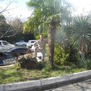  ,   , 50 ,   ,   , c , 