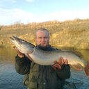 ���������� ������, ���� ������� �������, 52 ����, ������������ ��� ������, ����� � ���������