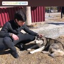 ���������� ������, ���� ������� ���� �������, 26 ���, ������������ ��� ������, ����� � ���������