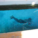  ,   89084206077, 51 ,  