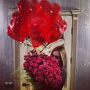 ���������� ������, ���� ������� ���������, 31 ���, ������������ ��� ������, ����� � ���������, c�������� ���������