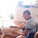  ,   , 37 ,   ,   