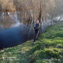 ���������� ������� ��������, ���� ������� ��������, 37 ���, ������������ ��� ������, ����� � ���������