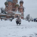 ���������� ���������, ���� ������� �����, 35 ���, ������������ ��� ������, ����� � ���������