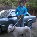 ���������� �������, ���� ������� Maxambet, 46 ���, ������������ ��� ������