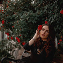 ���������� �����������, ���� ������� ����������, 33 ����, ������������ ��� ������, ����� � ���������